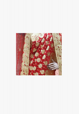 Katan with stone work benarashi sharee