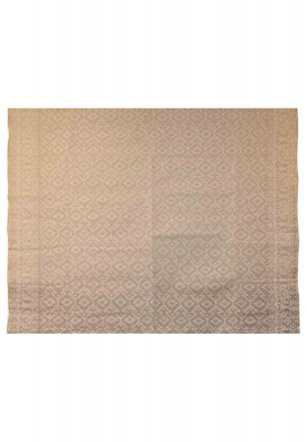 White cotton jori work party saree
