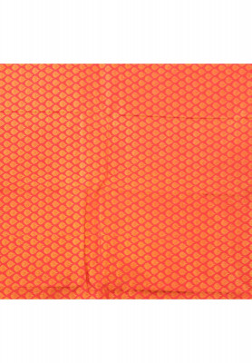 Katan jori work half kanjivaram saree