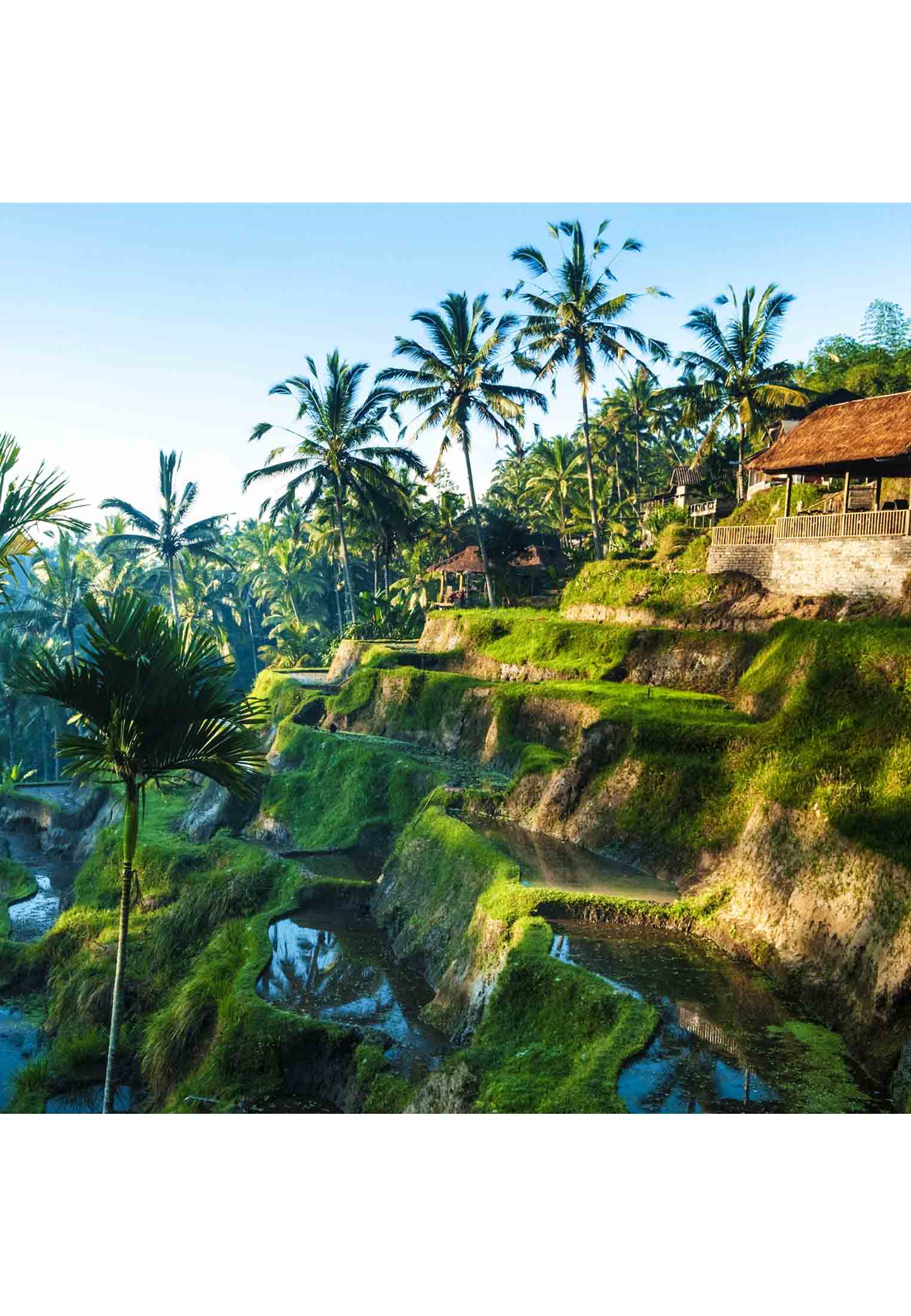 Singapore Bali honeymoon tour
