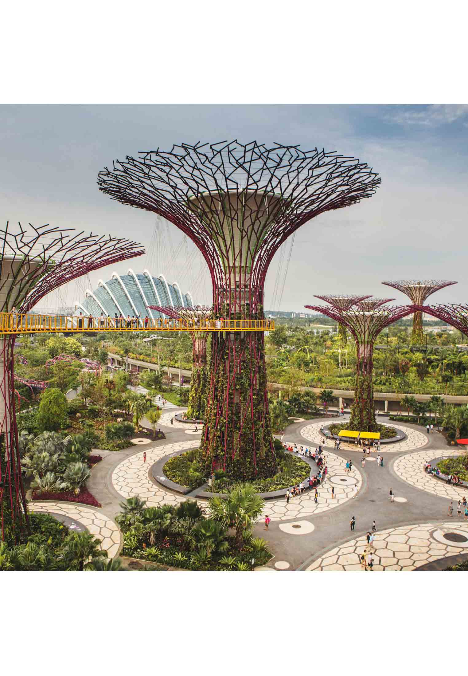 Singapore Bali honeymoon tour