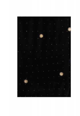 Indian velvet saree