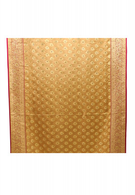 Indian Benarasi with Blouse