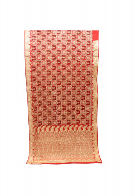 Amazing Indian Benarasi