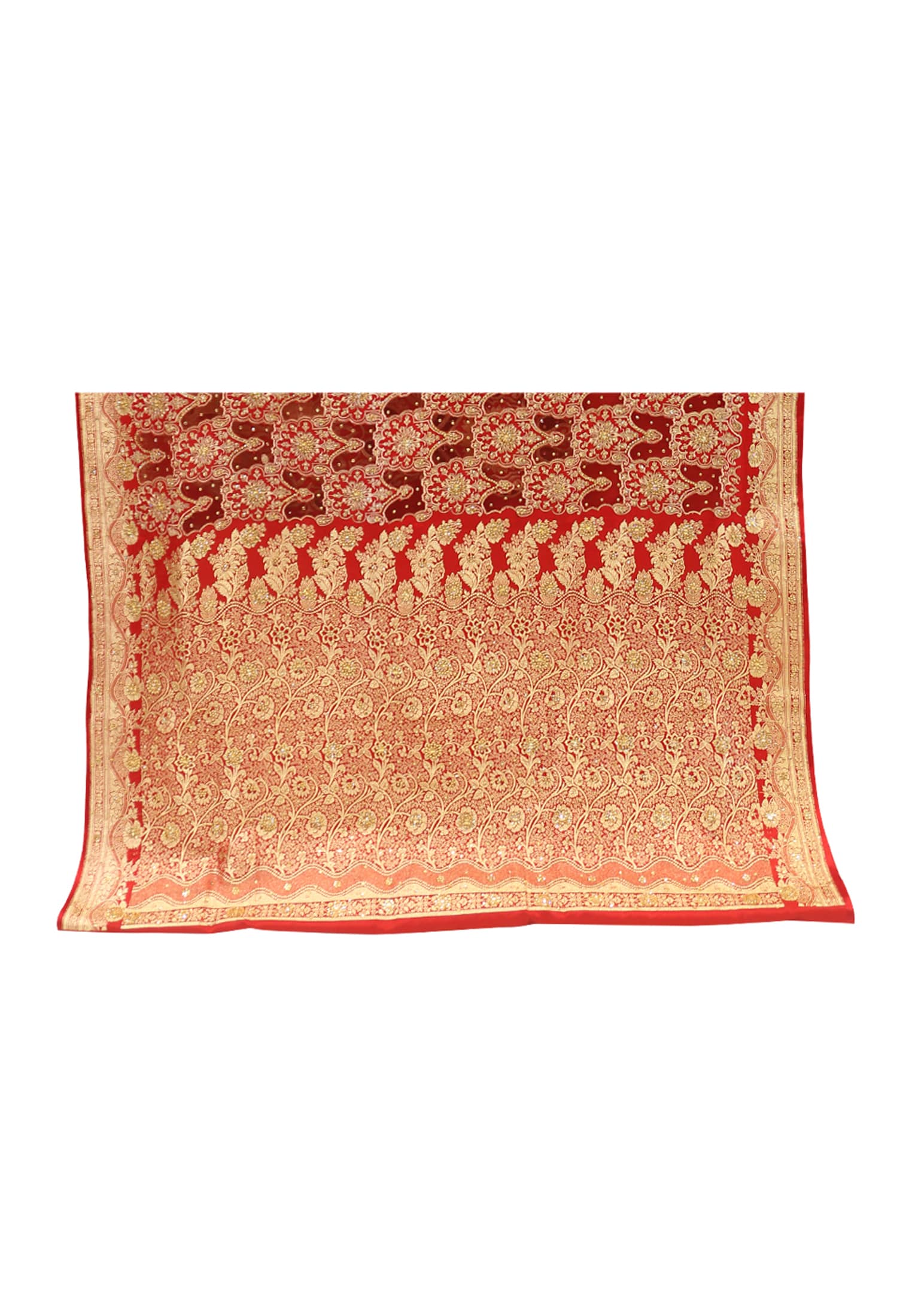Amazing Indian Benarasi