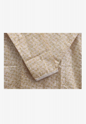 Golden Panjabi with Embroidery