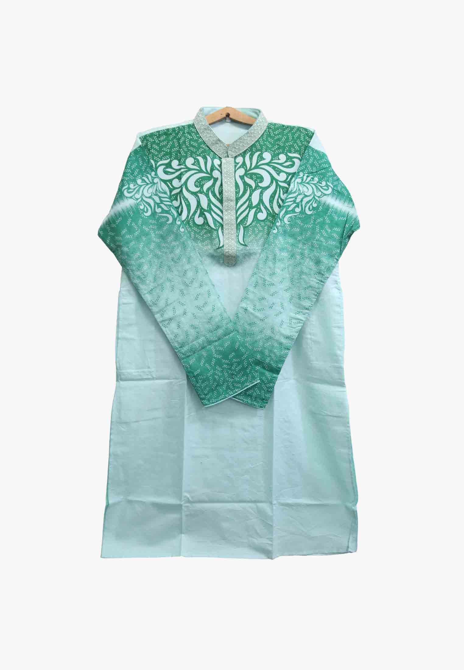 Paste Colored Regular Panjabi