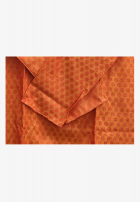 Basonti Burmese Panjabi