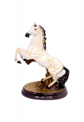 Medium size white horse 