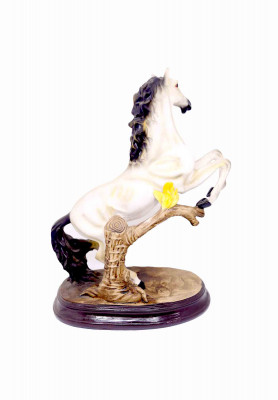 Medium size white horse 