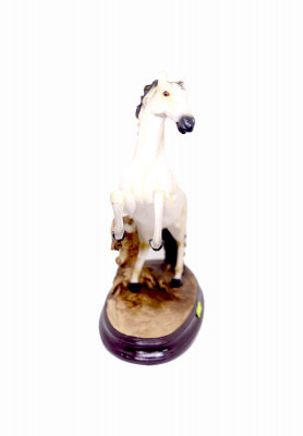 Medium size white horse 