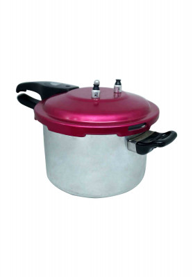 Ricco digital pressure cooker