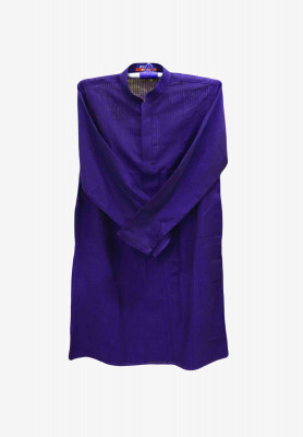 Deep Blue stylist  Panjabi